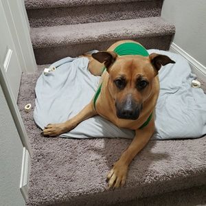 Meet your Posher, Franchesca